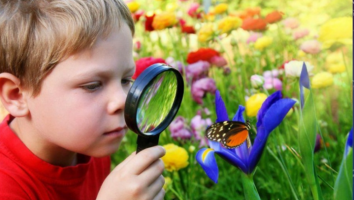 Connecting Children to Nature